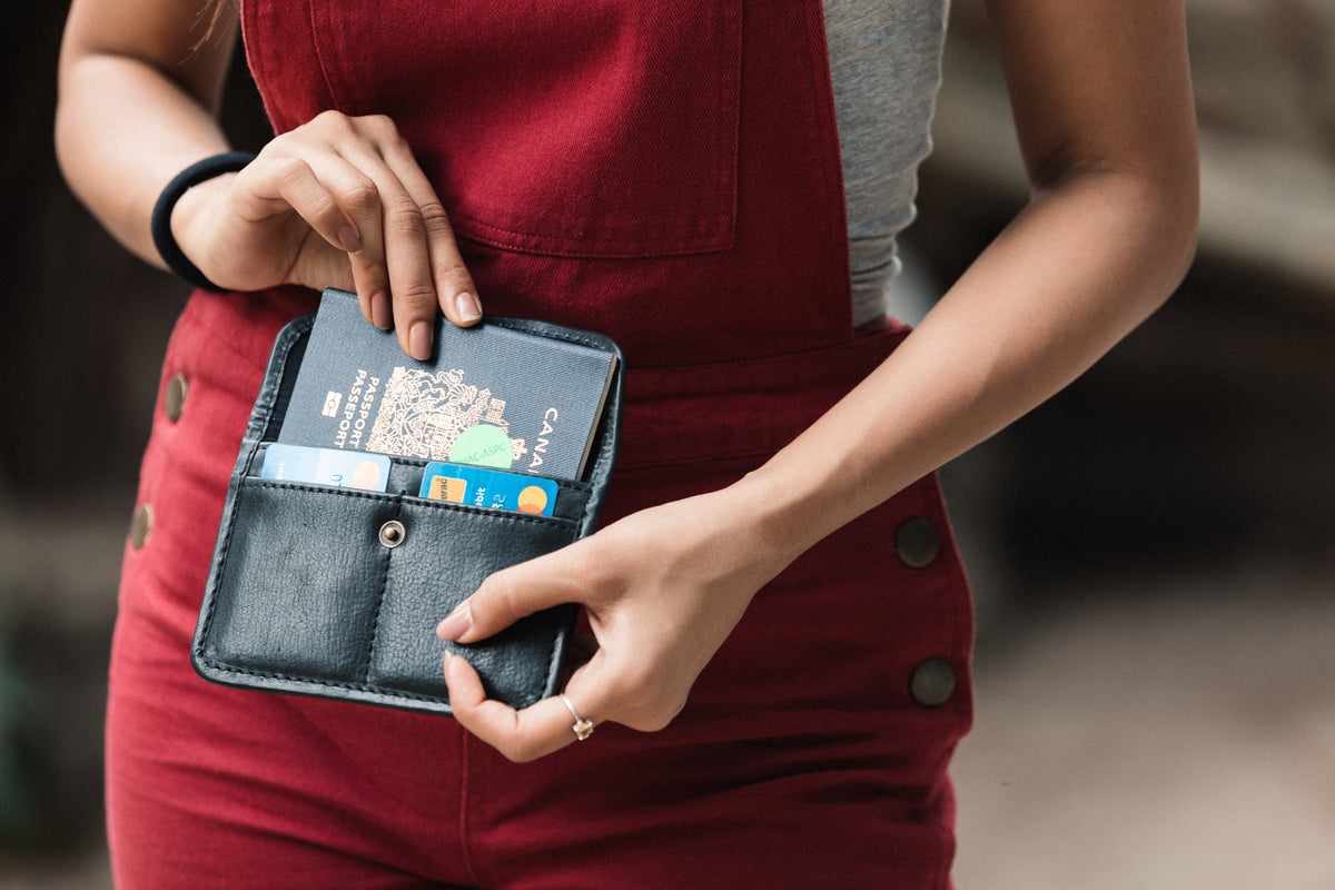The Passport Wallet - Albert Tusk